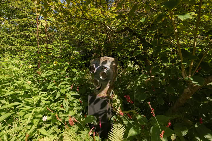 Foto 50 van Maria Montessorilaan 2