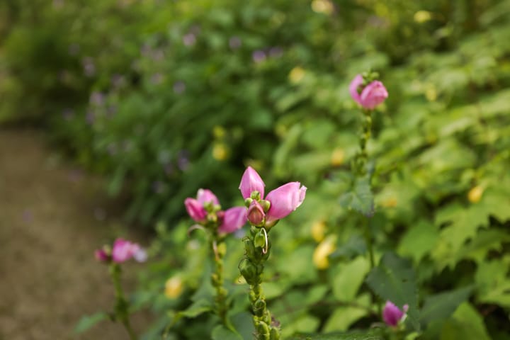 Foto 55 van Maria Montessorilaan 2