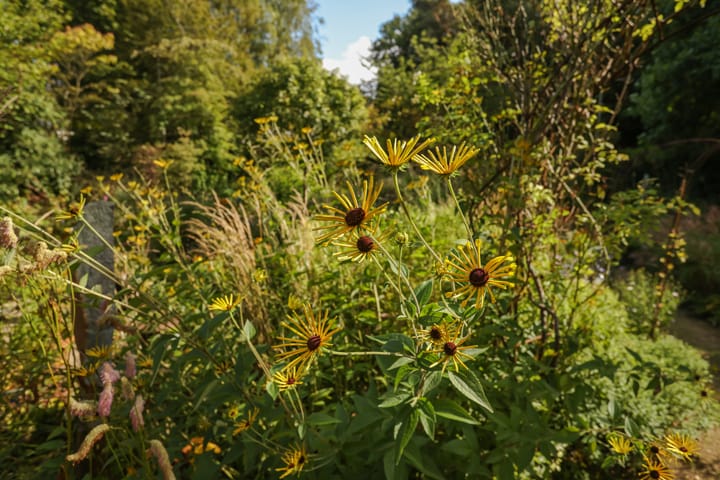 Foto 65 van Maria Montessorilaan 2