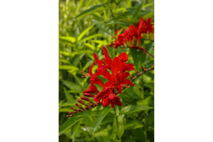 Foto 66 van Maria Montessorilaan 2