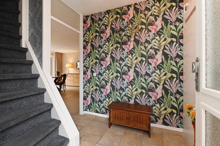 Foto 7 van Machtelderf 2