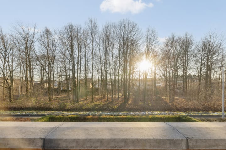 Foto 41 van Waterwereld 10