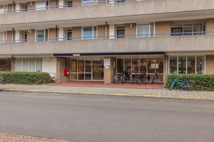 Foto 2 van Aert van Neslaan 633