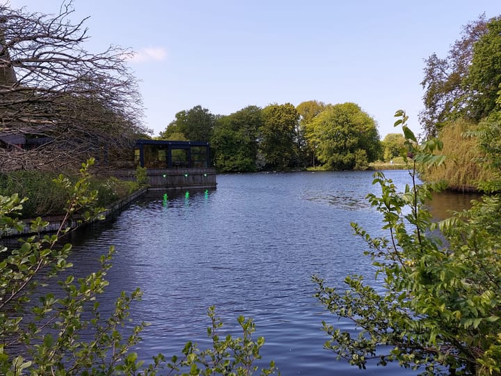 Foto 41 van Driebergenstraat 117