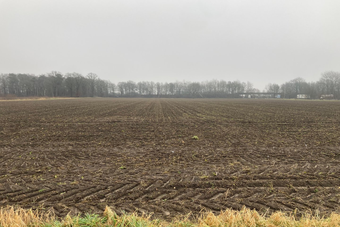 Bekijk foto 2 van Maasbreeseweg