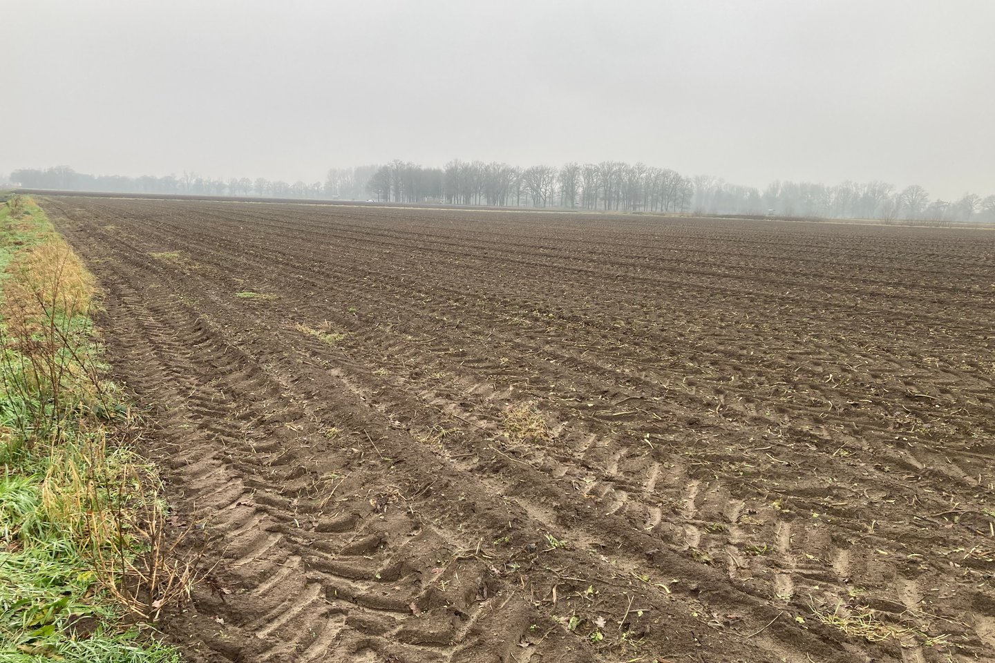 Bekijk foto 3 van Maasbreeseweg