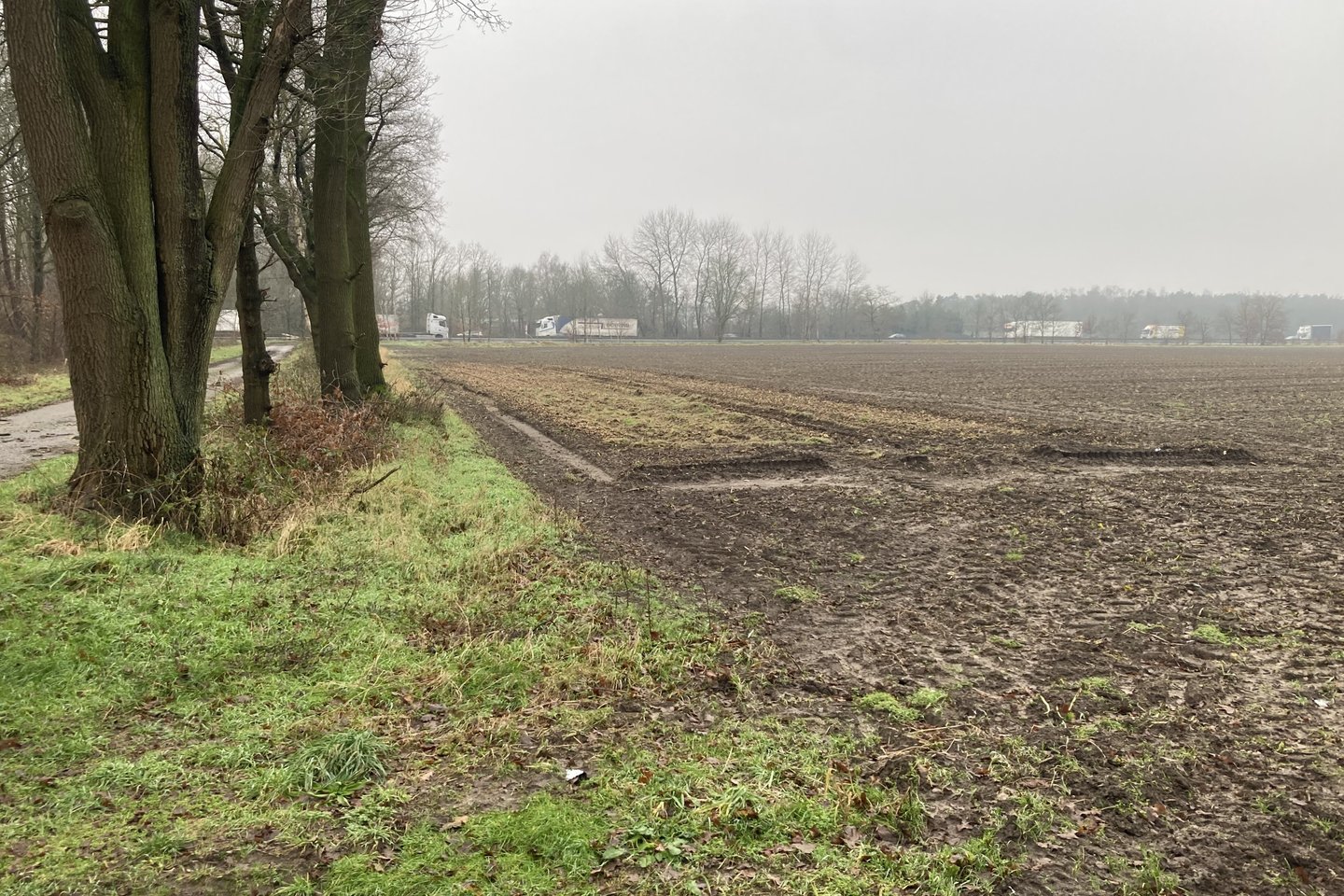 Bekijk foto 4 van Maasbreeseweg