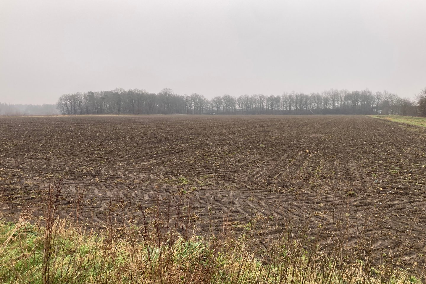 Bekijk foto 5 van Maasbreeseweg