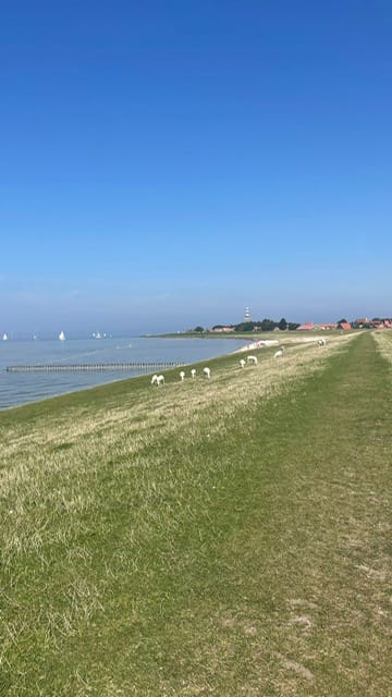 Foto 33 van Weidestraat 2-A