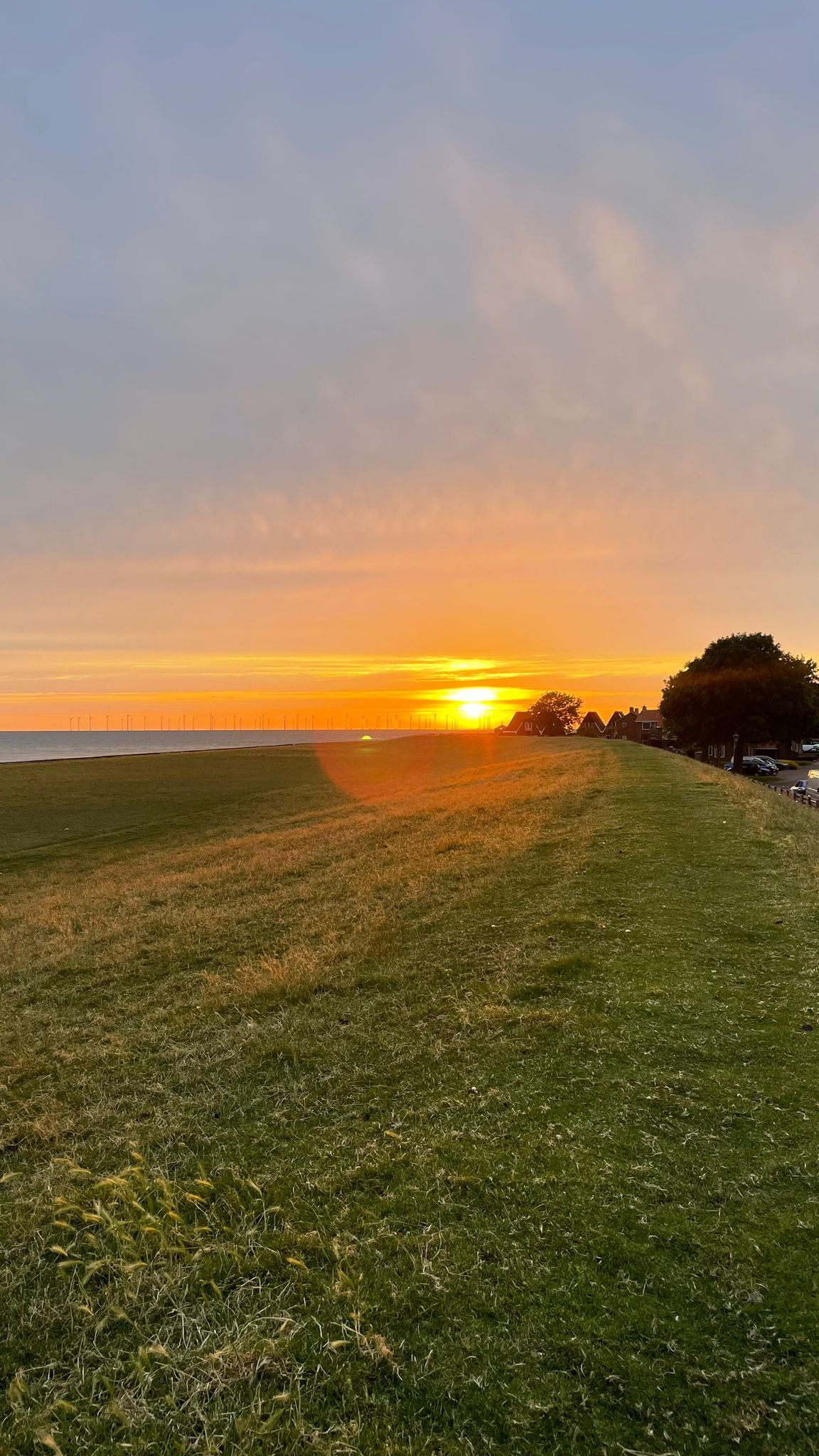 Foto 35 van Weidestraat 2-A