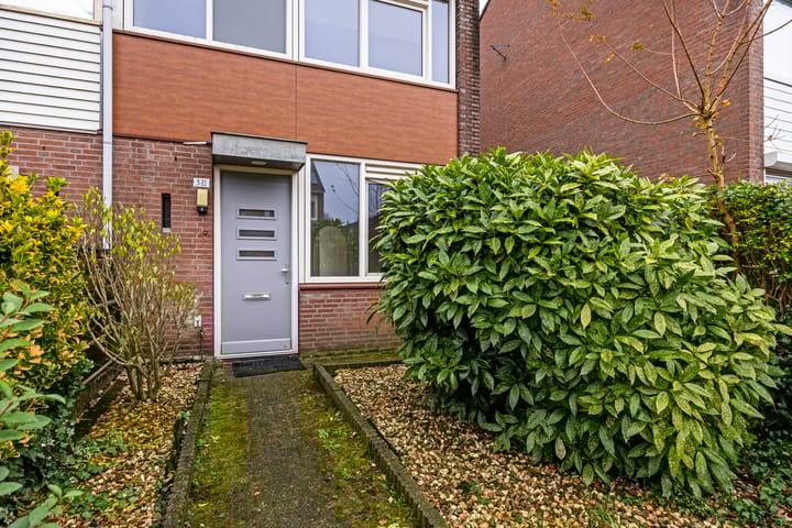 Foto 2 van Wijsthoek 321