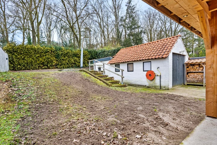 Foto 26 van Sterrenbos 16