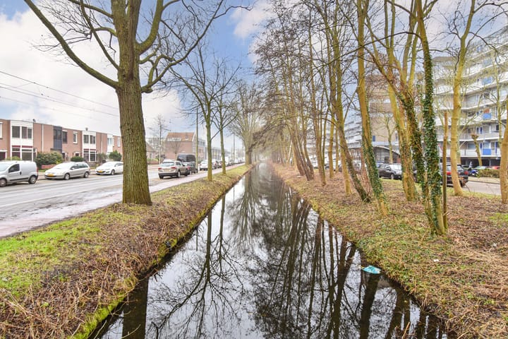 Foto 5 van Forellendaal 217