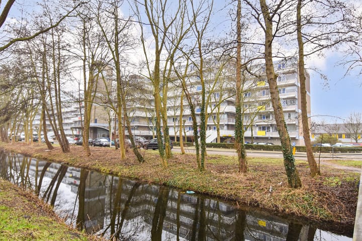 Foto 6 van Forellendaal 217