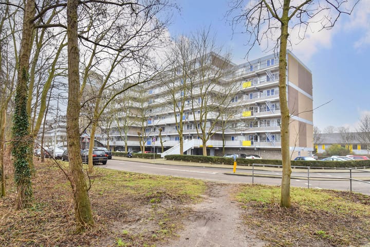 Foto 8 van Forellendaal 217