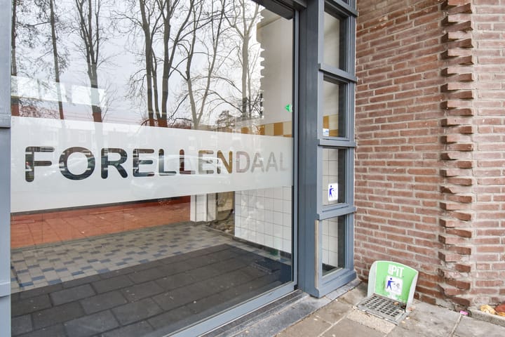 Foto 10 van Forellendaal 217