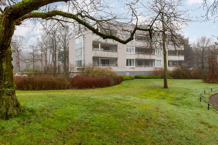 Foto 36 van Constantijnlaan 3