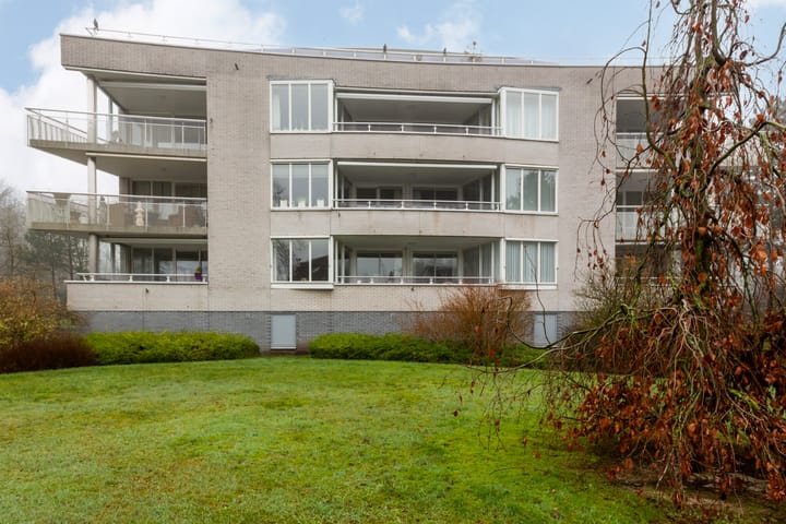 Foto 37 van Constantijnlaan 3