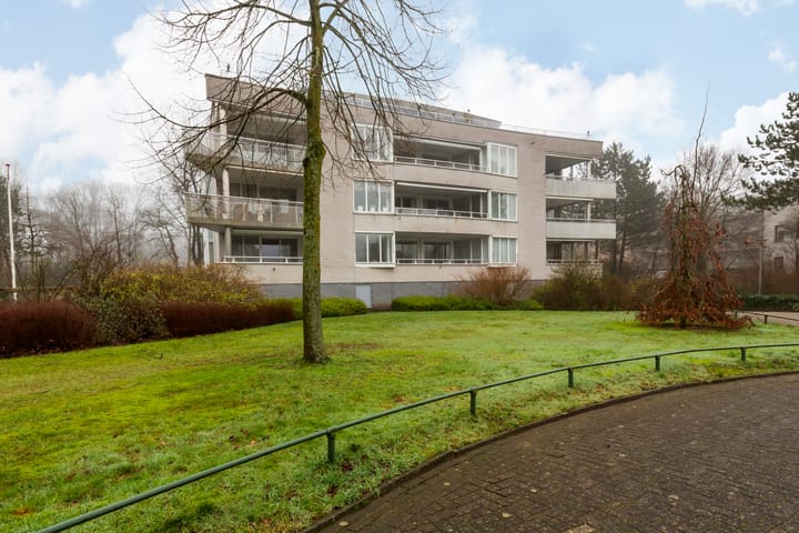 Foto 38 van Constantijnlaan 3