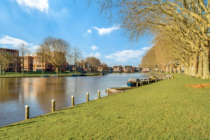 Foto 32 van Dahliastraat 42