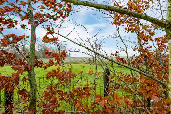 Foto 33 van Elensterweg 7