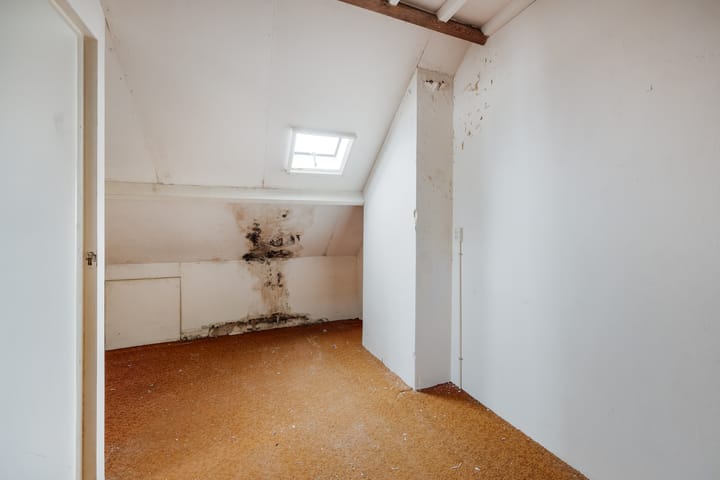 Foto 21 van Berkenrodestraat 9