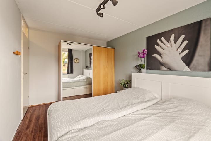 Foto 16 van Fluitekruid 7