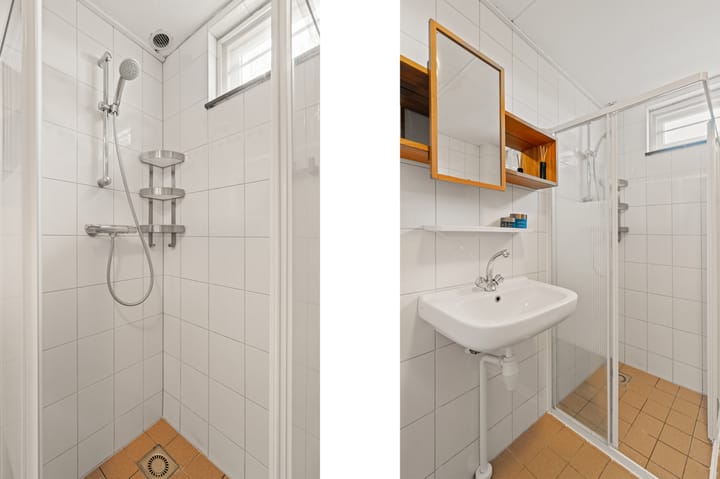 Foto 18 van Fluitekruid 7