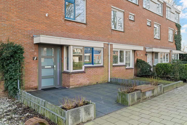 Foto 28 van Fluitekruid 7