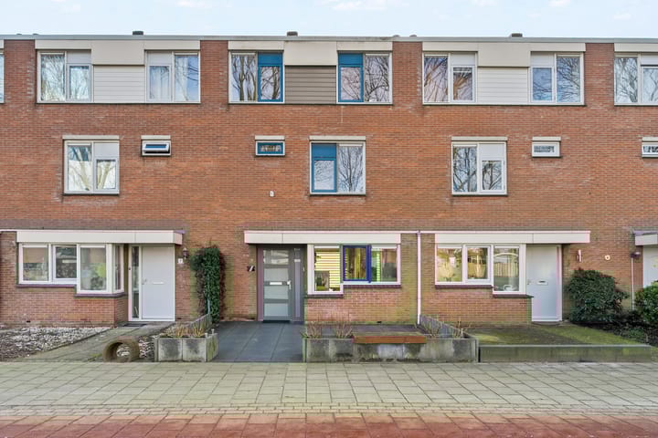 Foto 29 van Fluitekruid 7