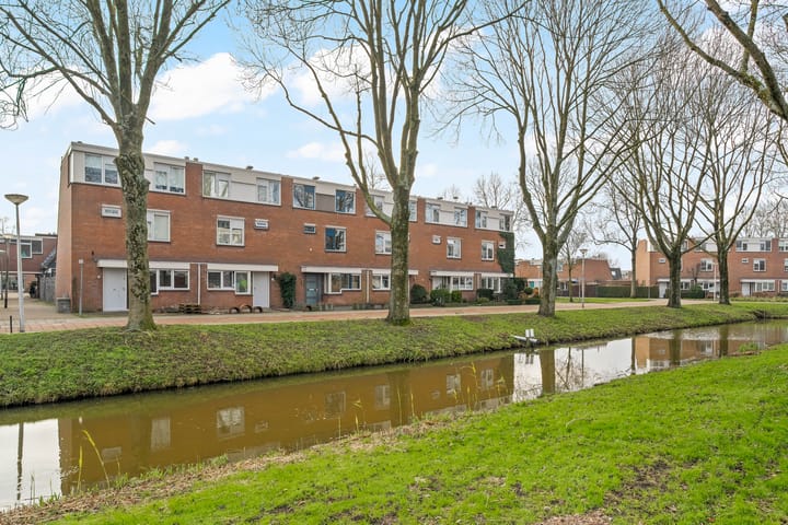 Foto 31 van Fluitekruid 7