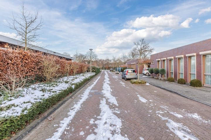 Foto 50 van Begoniastraat 8