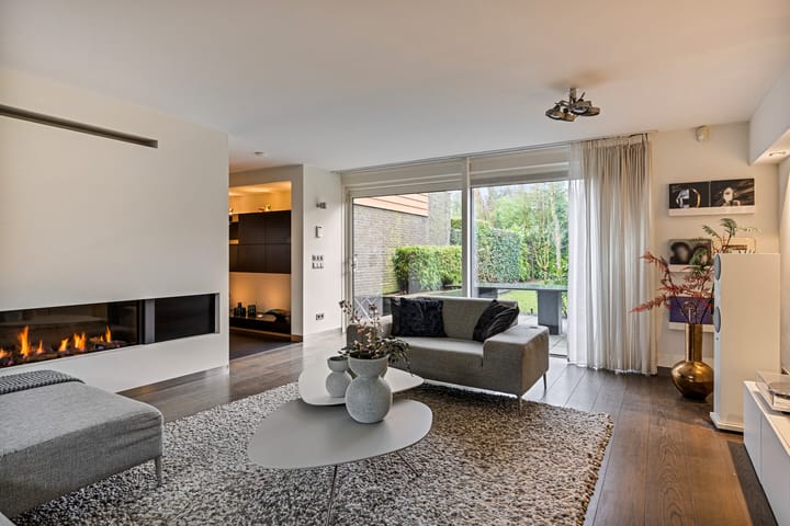 Foto 3 van Satijnzwam 15