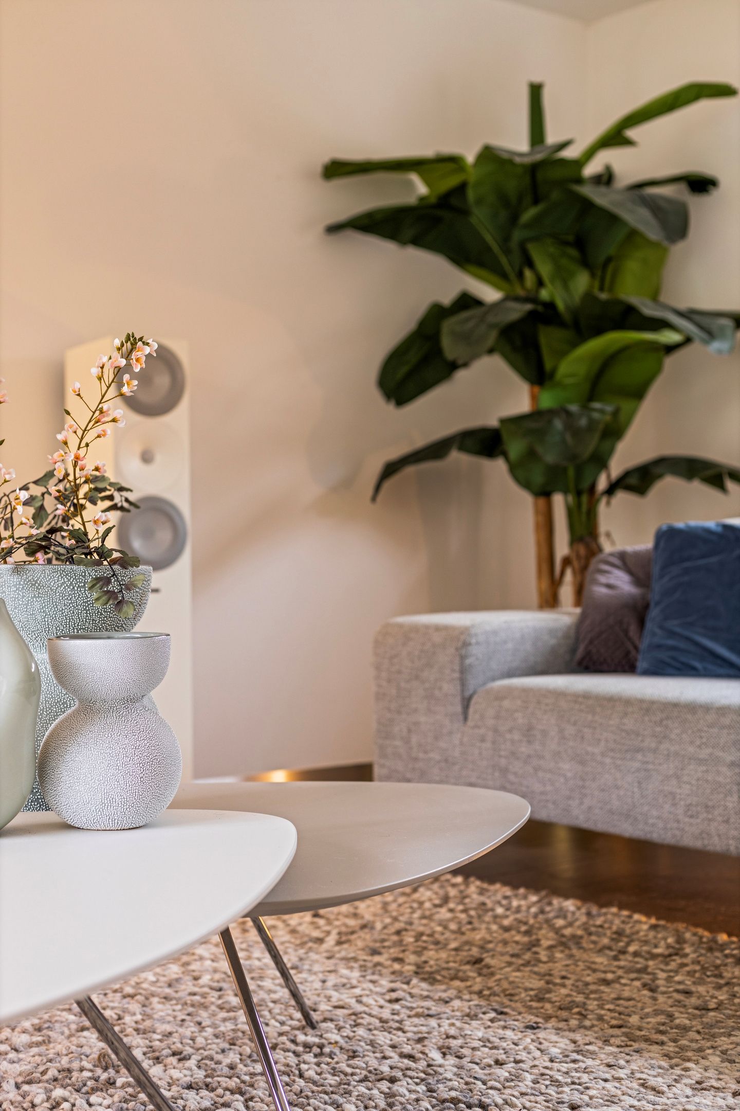 Foto 9 van Satijnzwam 15