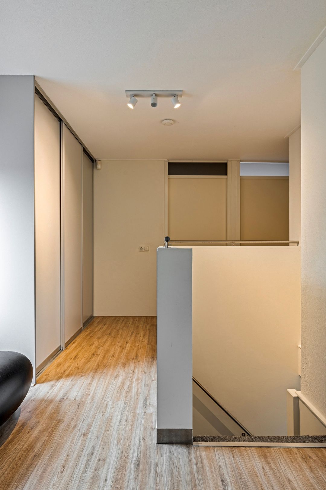 Foto 28 van Satijnzwam 15