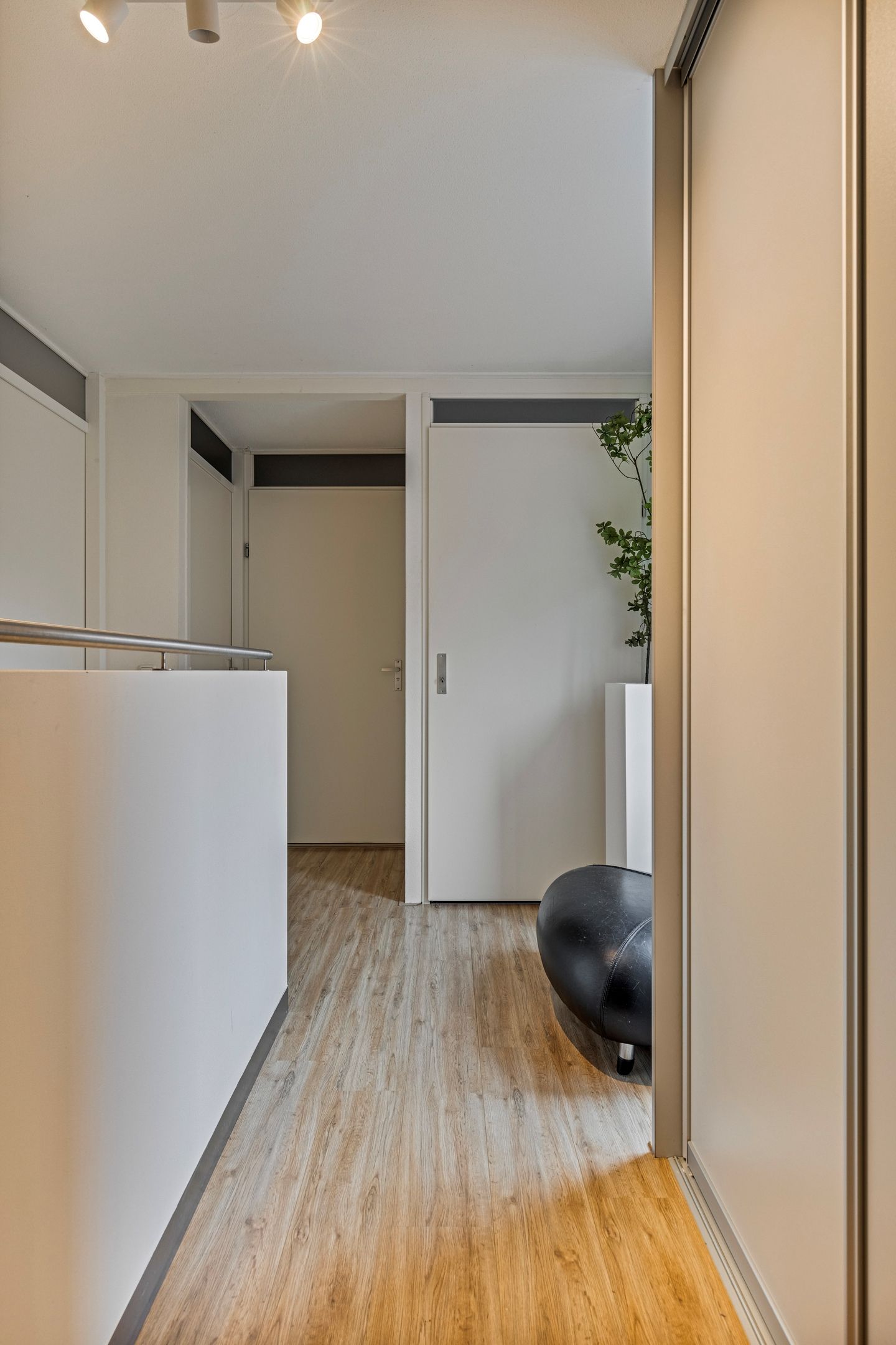 Foto 29 van Satijnzwam 15