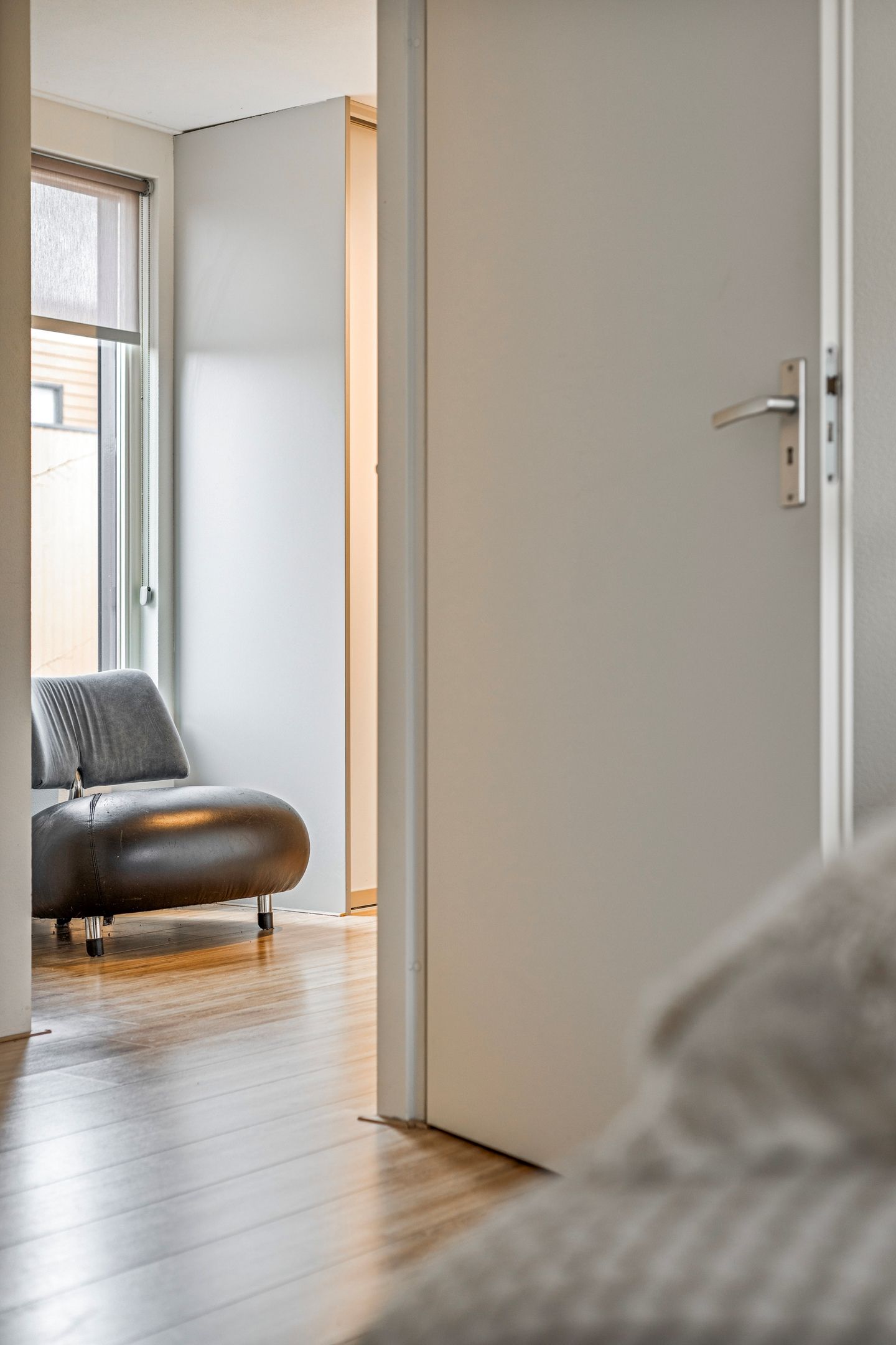 Foto 33 van Satijnzwam 15