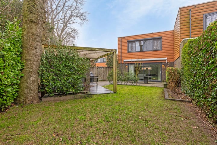 Foto 44 van Satijnzwam 15