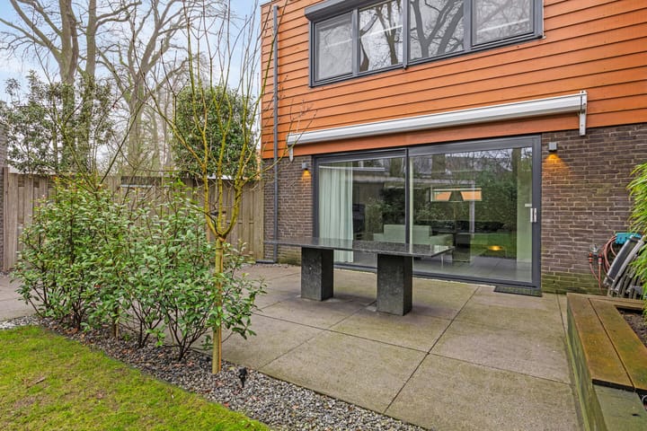 Foto 45 van Satijnzwam 15