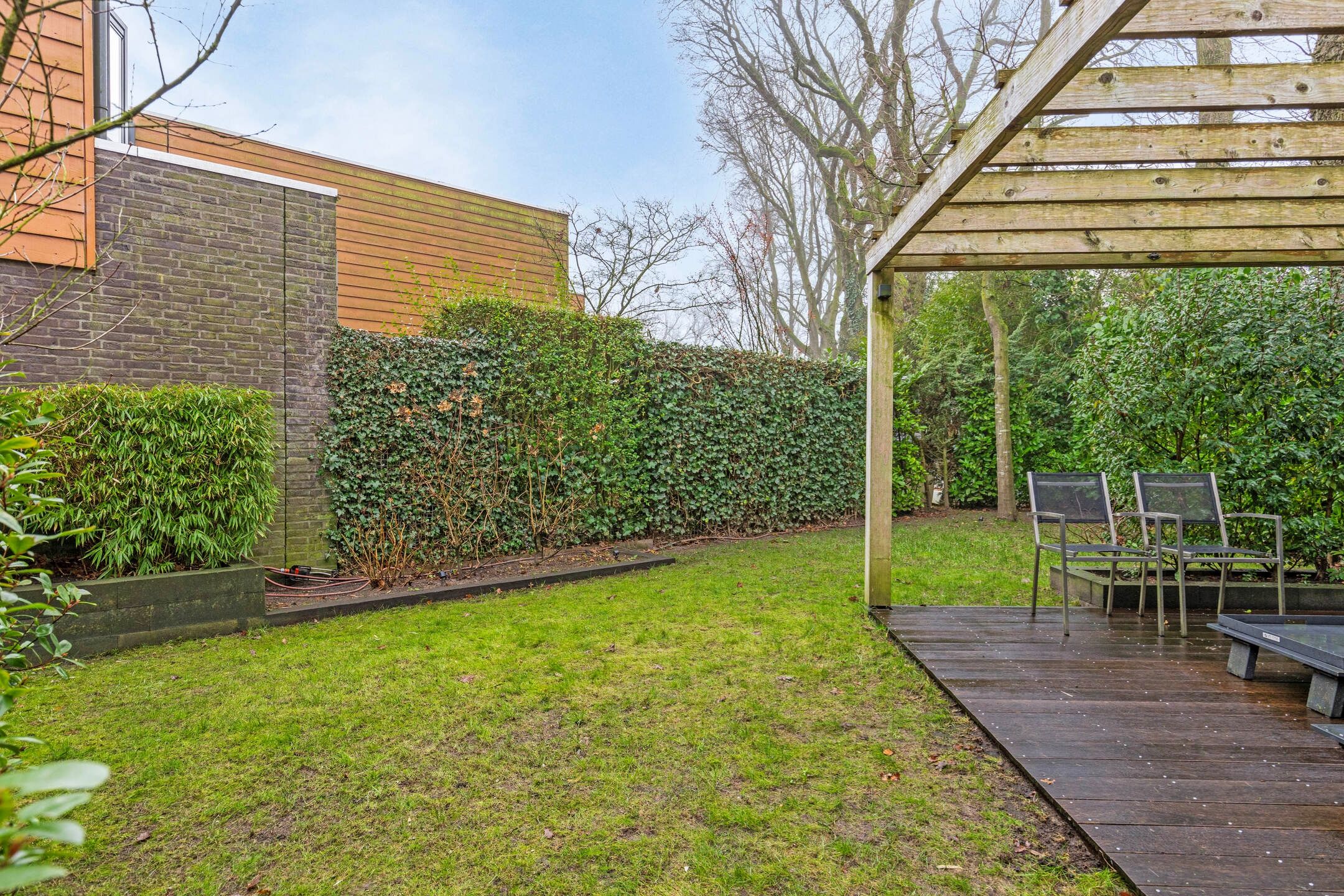 Foto 48 van Satijnzwam 15