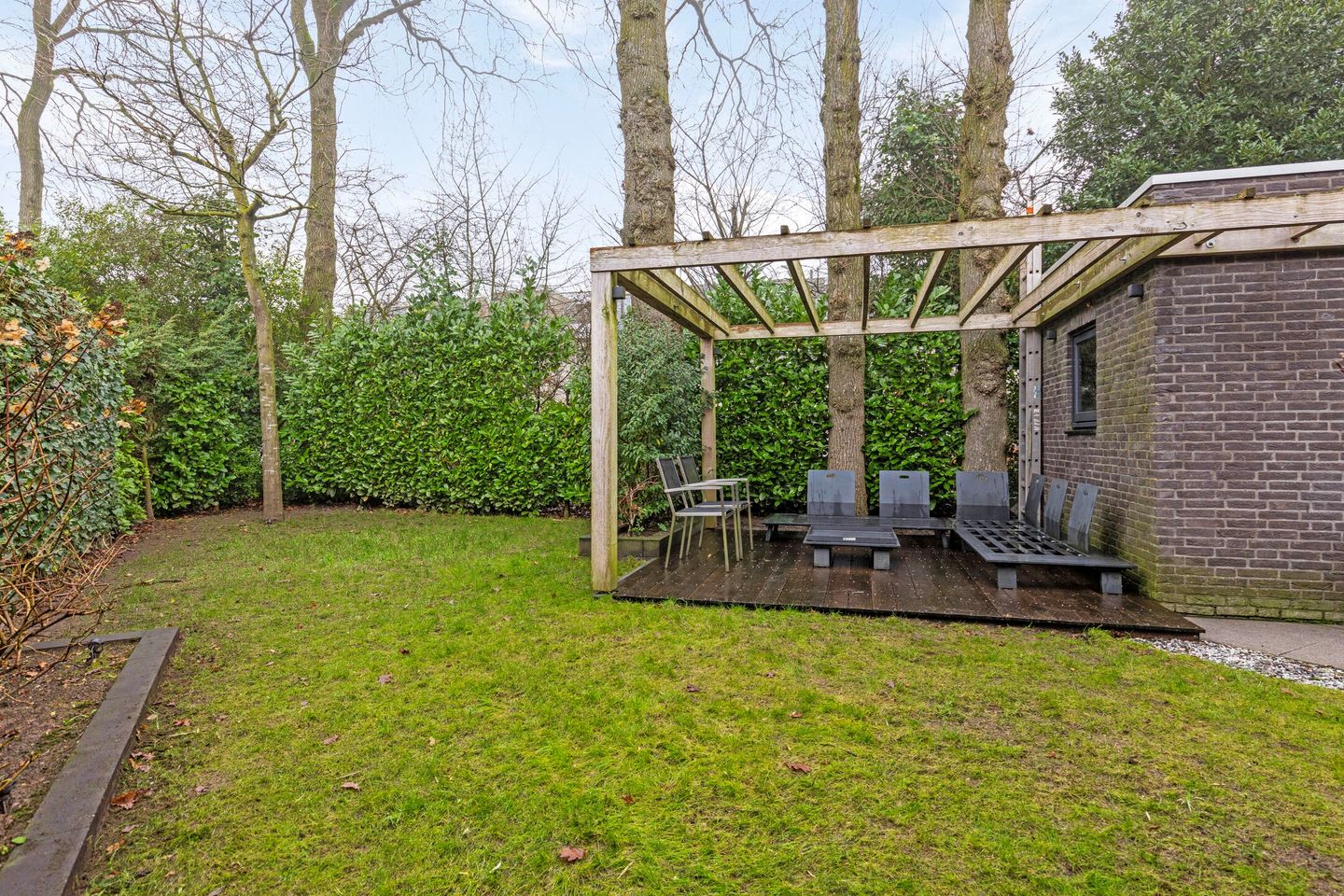 Foto 49 van Satijnzwam 15