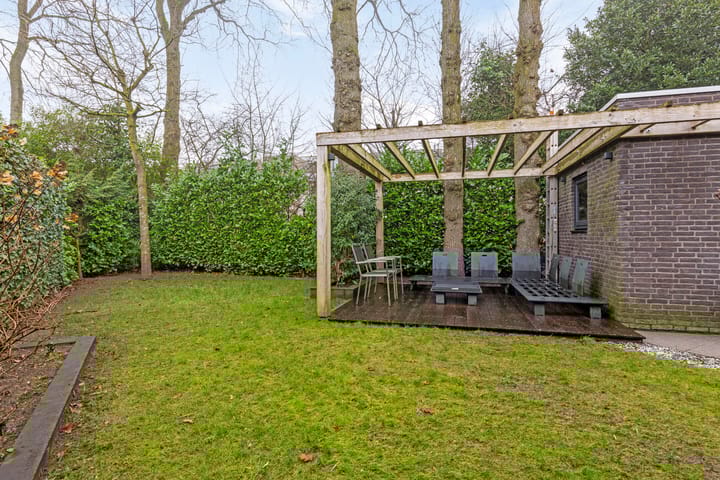 Foto 49 van Satijnzwam 15