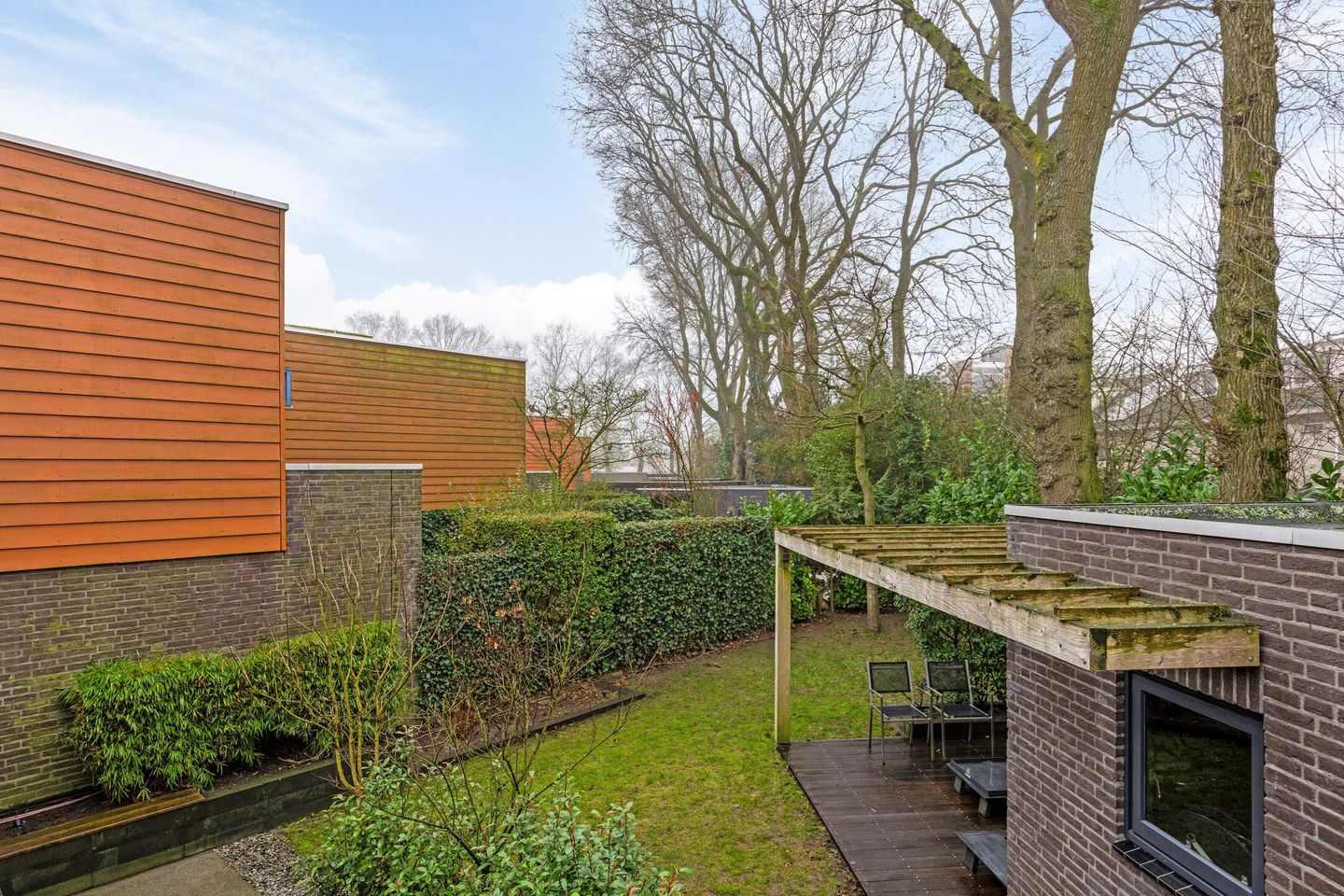 Foto 50 van Satijnzwam 15