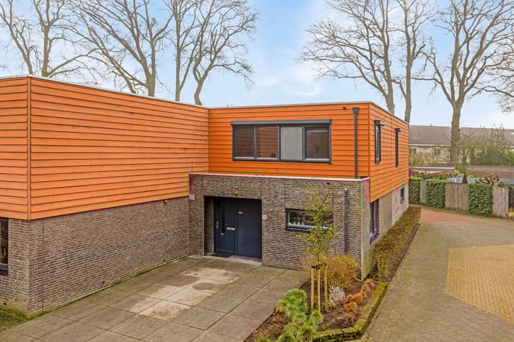 Foto 54 van Satijnzwam 15