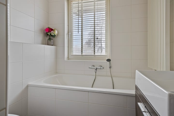 Foto 25 van Valeriaan 88