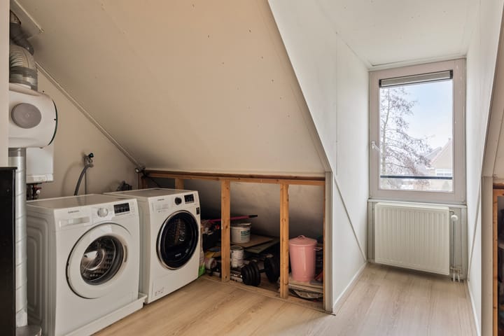 Foto 32 van Valeriaan 88