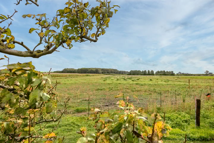 Foto 37 van Nedereindseweg 541