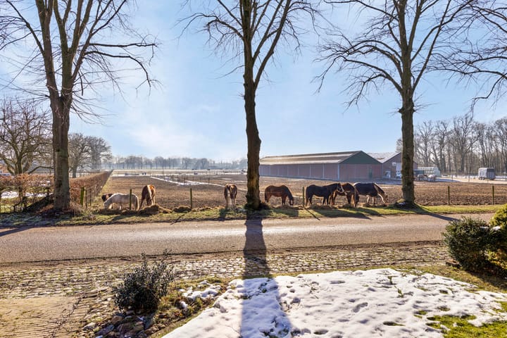 Foto 28 van Wijngaardstraat 16