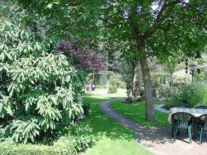 Foto 33 van Wijngaardstraat 16