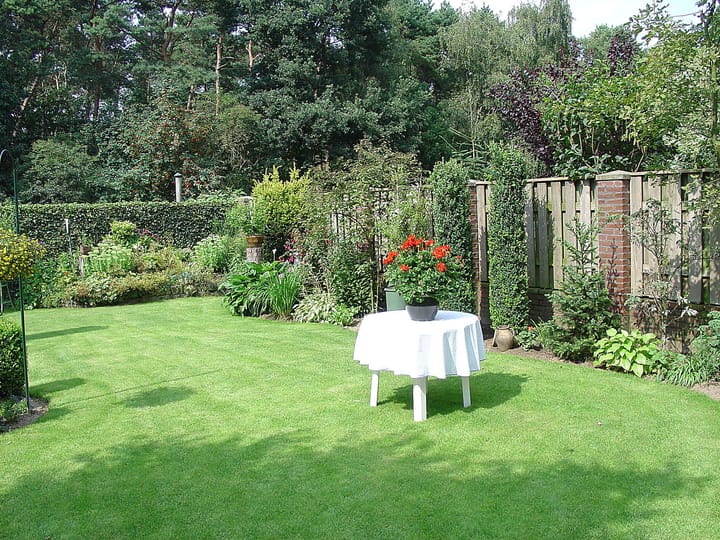 Foto 36 van Wijngaardstraat 16